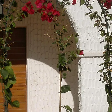 Apartamento Locazione Turistica Contessa Giovanna Procchio (Isola d'Elba)